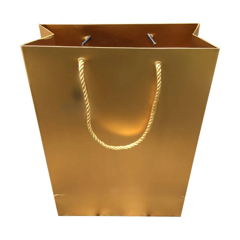 300gsm Art Printed Paper Bag