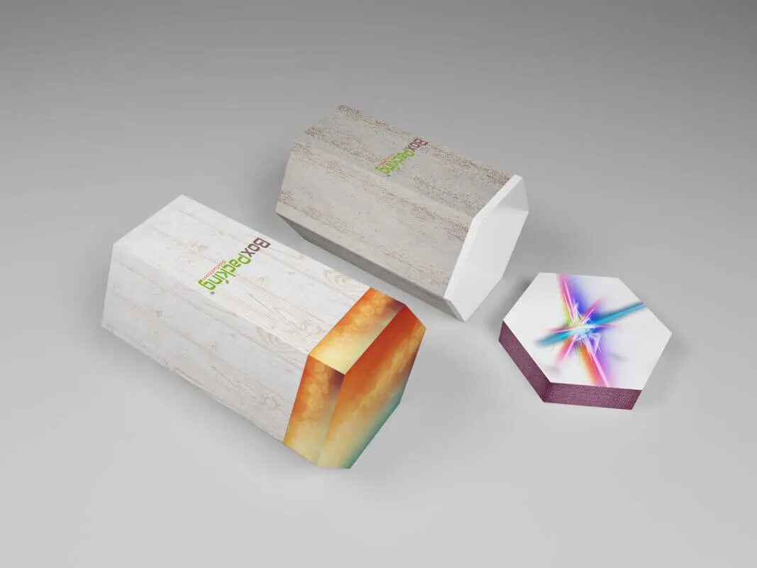 Hexagon Cardboard drum tube Box printing Mock-up