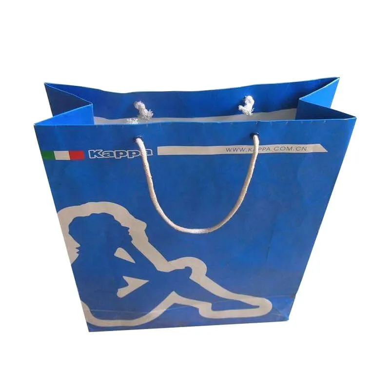 Paper bag for sport shoes