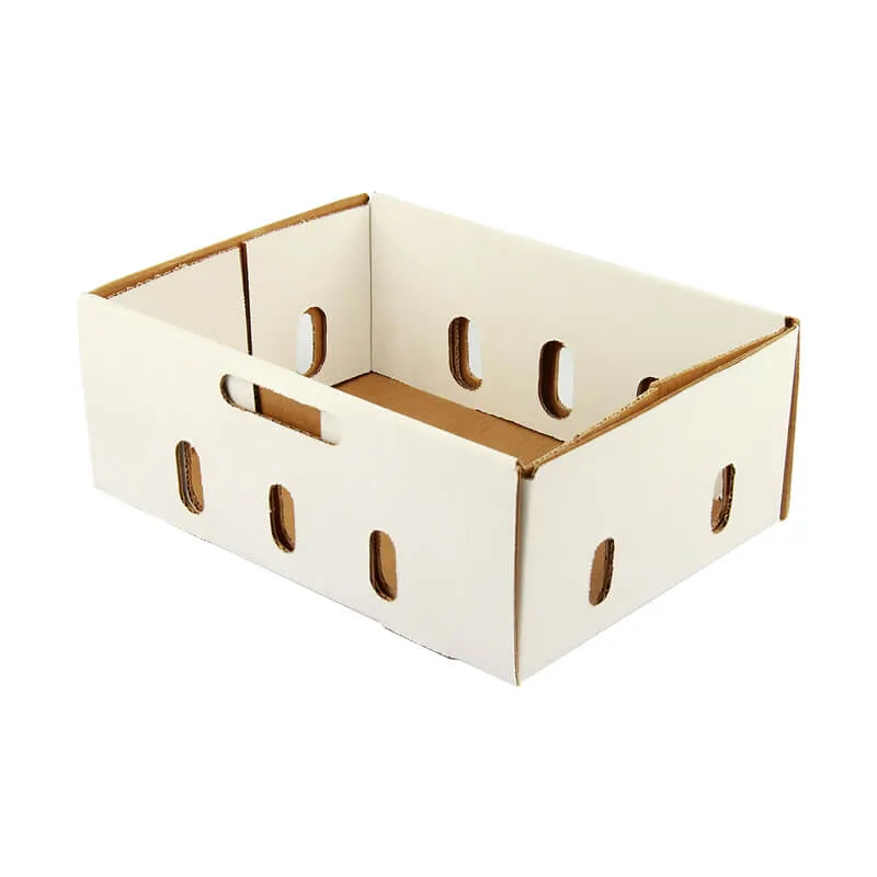 White fresh food box packaging tray