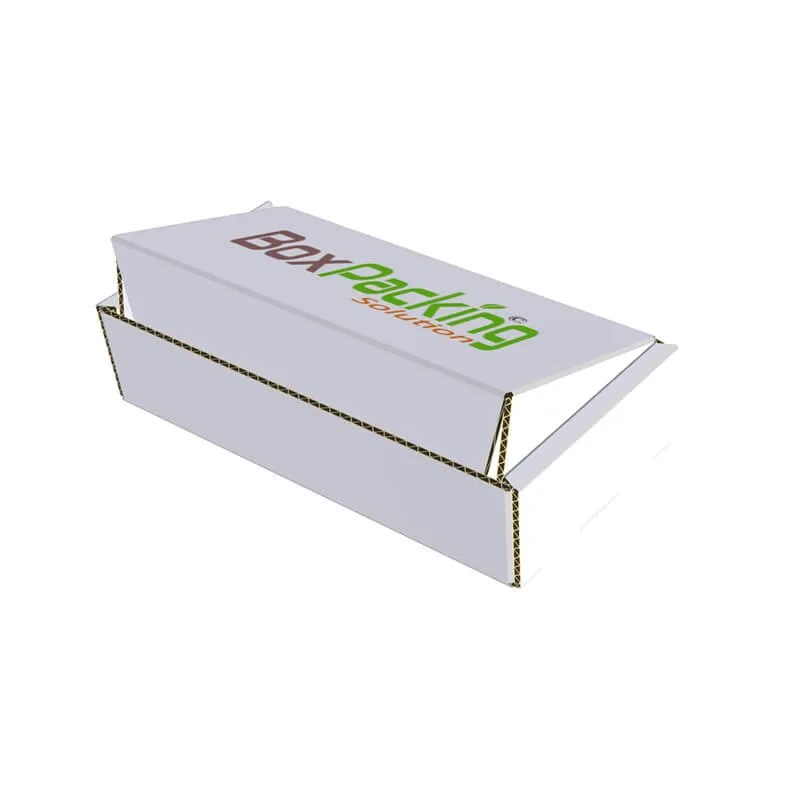 3D model created for cardboard mailer box