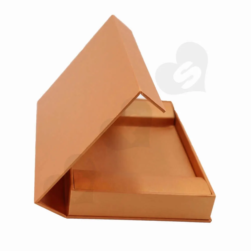 Car CD Present Packaging Box with Magnetic Closure and Printed Sleeve side view three