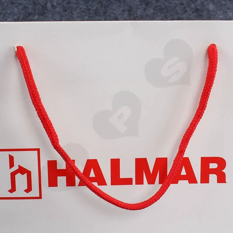 Custom Printed Paper Bag For Spare Parts side view seven