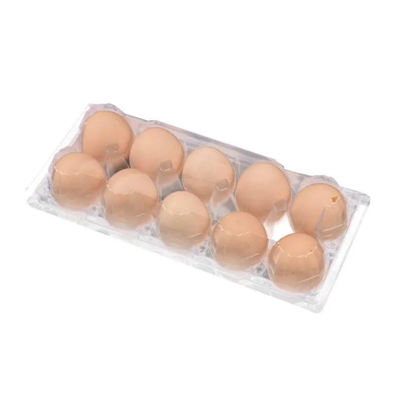 Egg Blister Packaging Box