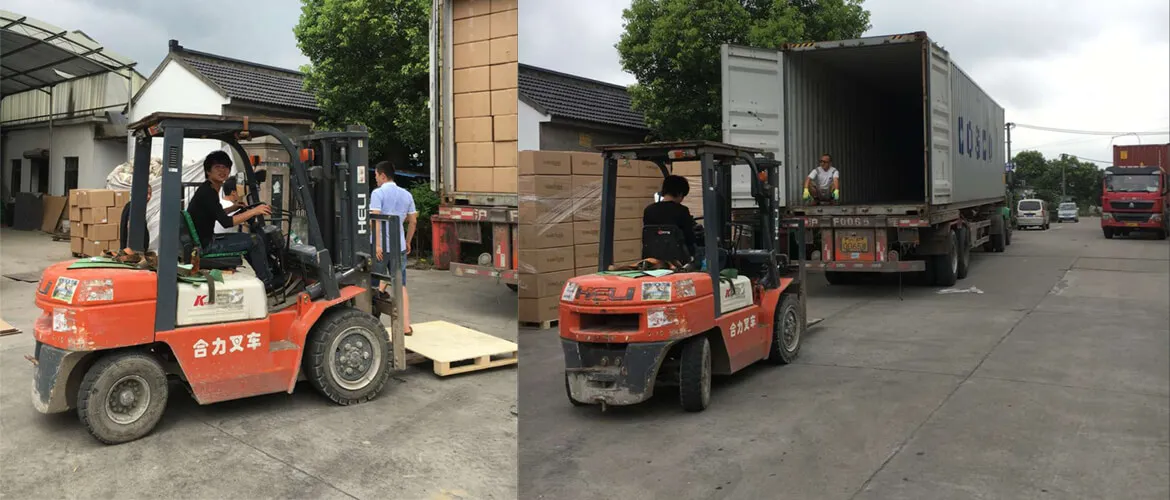 Chargement de chariot élévateur dans un conteneur pour le transport maritime