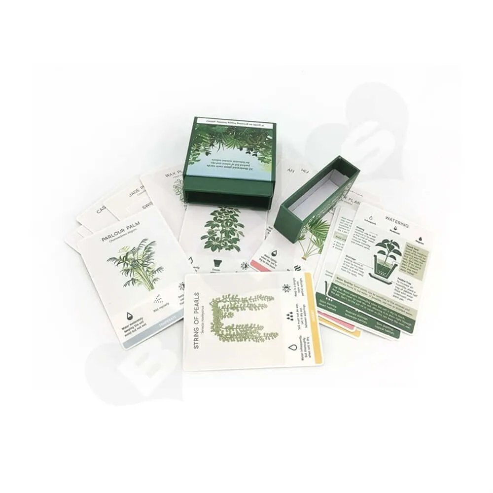 Houseplant Care Cards Packaging Box Side View Five