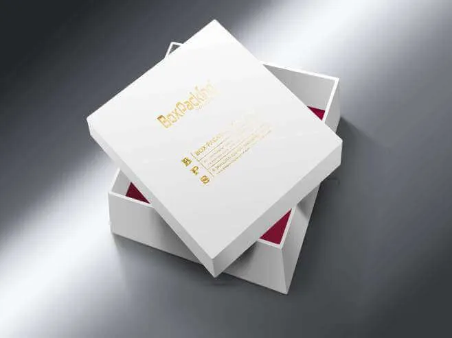 Luxury Gift Box With Colored Lining Mock Up Service