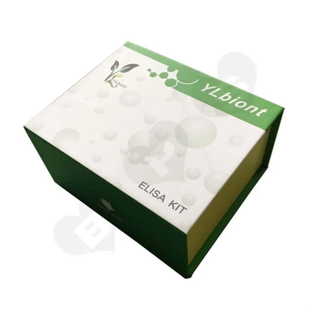 Magnetic Closure Cosmetic Packaging Box Sideview Five