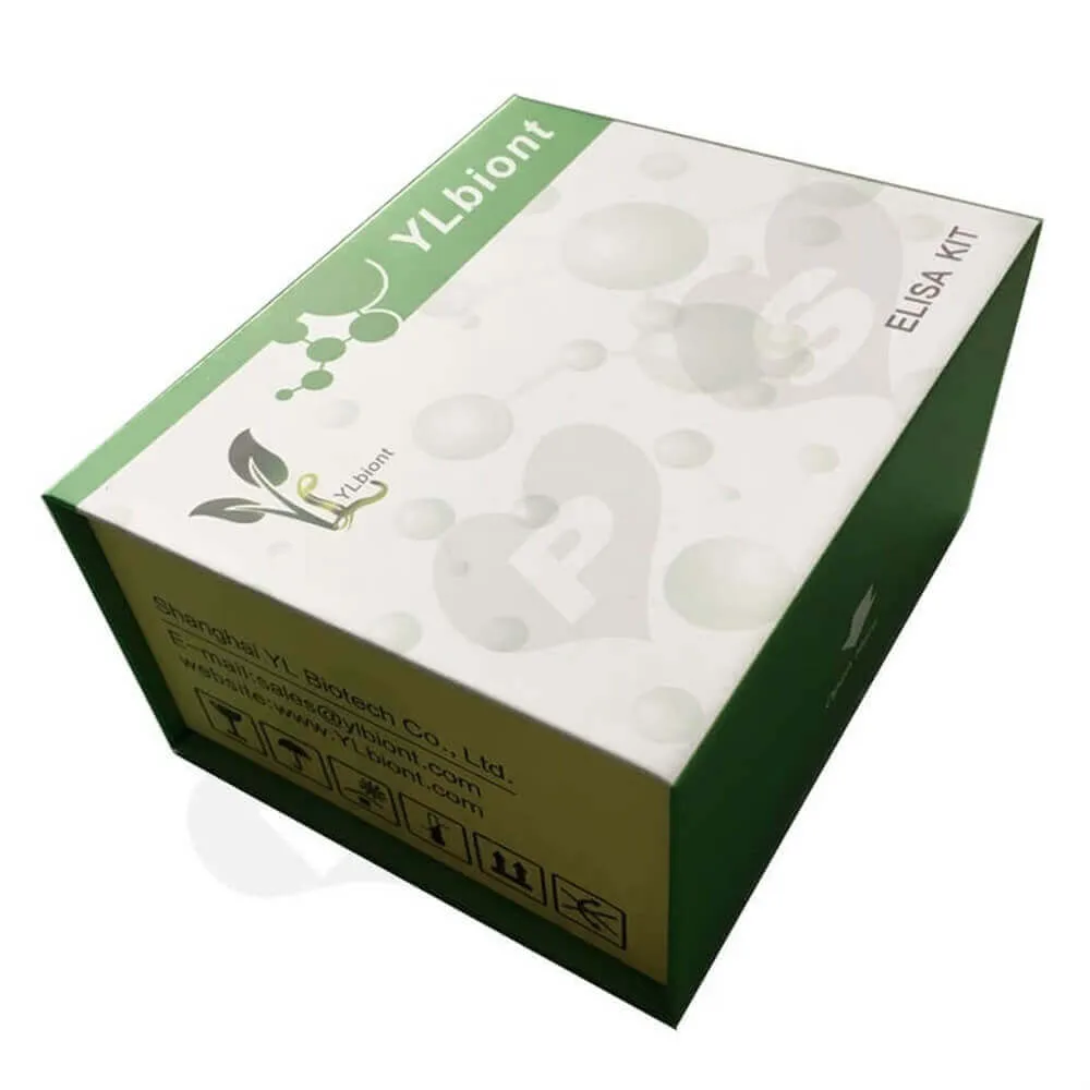 Magnetic Closure Cosmetic Packaging Box Sideview One