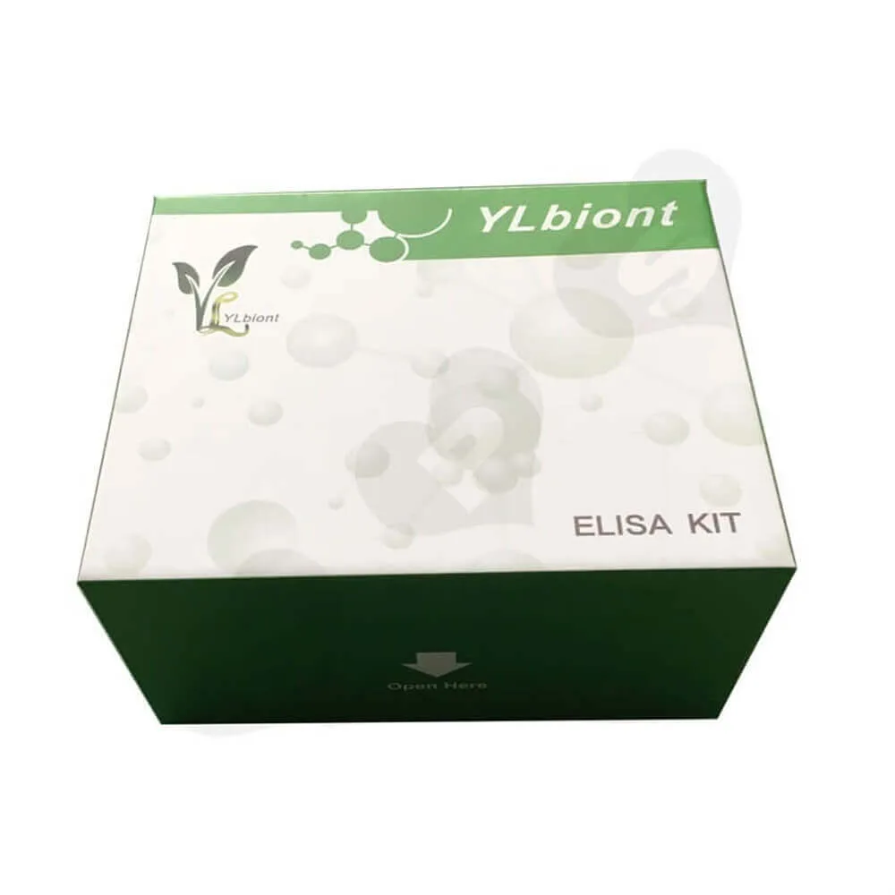 Magnetic Closure Cosmetic Packaging Box Sideview Six