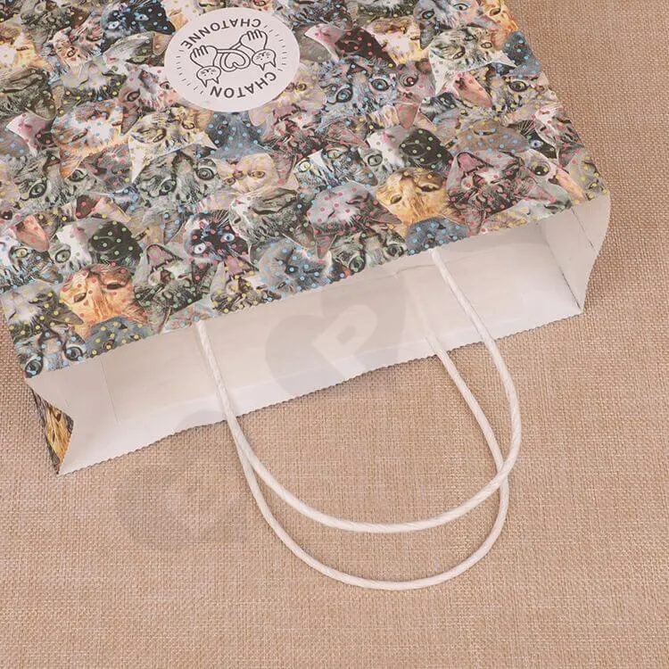 Recycled Material Kraft Paper Bags side view four