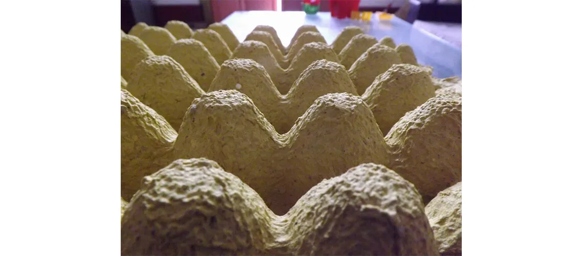Buy High Quality Egg Trays Pulp Material