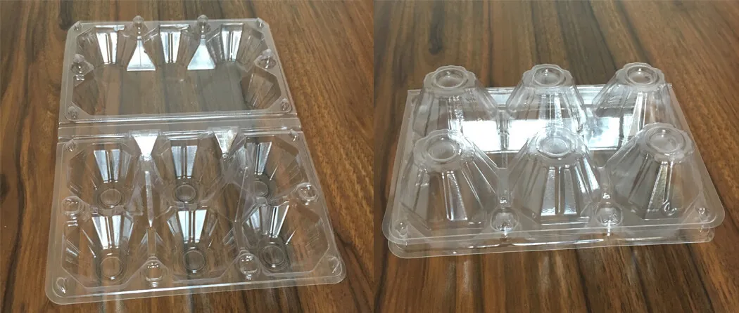 Six Pack Plastic Egg Packaging Boxes