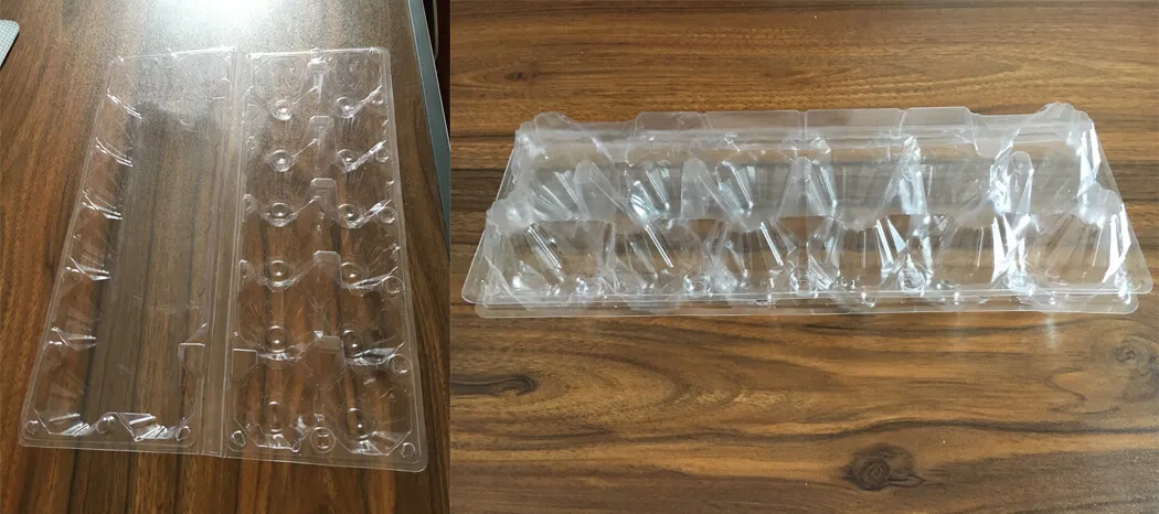 Twelve Pack Plastic Egg Packaging Boxes