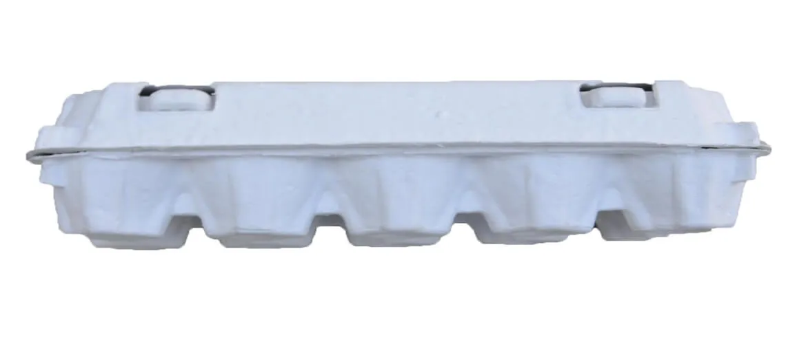 White Pulp Egg Packaging Boxes