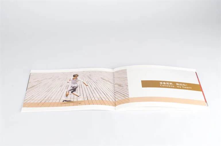 brochure design 1