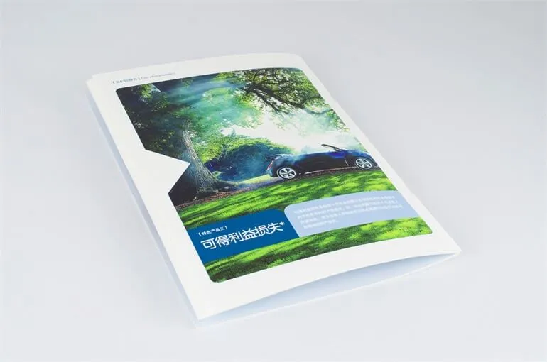custom booklet printing 1