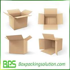 master carton outer look design