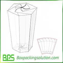 popcorn packaging box design template