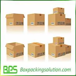 regular slotted carton box 3D version